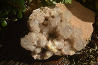 Natural Large Cascading White Phantom Smokey Quartz Cluster x 1 From Luena, Congo