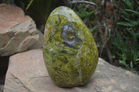 Natural Large Green Opal Standing Free Form  x 1 From Madagascar - Toprock Gemstones and Minerals 