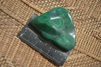 Polished Malachite Free Forms With Stunning Flower & Banding Patterns x 6 From Congo - Toprock Gemstones and Minerals 