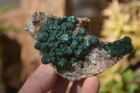 Natural Rare Ball Malachite On Drusy Quartz & Dolomite Specimens x 2 From Congo