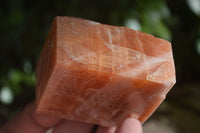 Natural New Sunset Orange Calcite Specimens  x 12 From Spitzkop, Namibia