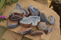 Polished Red Sashe River Agate Nodules x 12 From Sashe River, Zimbabwe