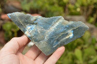 Polished One Side Polished Labradorite Slices  x 8 From Tulear, Madagascar - TopRock