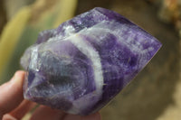 Polished "Witches Hat" Chevron Amethyst Crystals  x 6 From Zambia - Toprock Gemstones and Minerals 