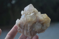 Natural Cascading White Phantom Smokey Quartz Clusters  x 6 From Luena, Congo - Toprock Gemstones and Minerals 