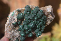 Natural Rare Ball Malachite On Drusy Quartz & Dolomite Specimens x 2 From Congo