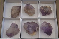 Natural Large Amethyst Window Quartz Crystals  x 6 From Ambatondrazaka, Madagascar - Toprock Gemstones and Minerals 