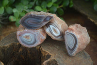 Polished Stunning Banded River Agate Nodules  x 12 From Sashe River, Zimbabwe - Toprock Gemstones and Minerals 