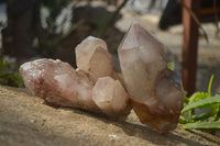 Natural Red Hematoid Quartz Clusters x 3 From Karoi, Zimbabwe