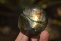 Polished Labradorite Galets (Palm Stones)  - Sold per 1 kg - From Tulear, Madagascar