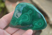 Polished Malachite Free Forms With Stunning Flower & Banding Patterns x 6 From Congo - Toprock Gemstones and Minerals 