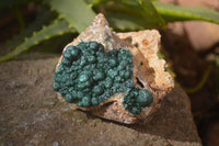 Natural Rare Ball Malachite On Drusy Quartz & Dolomite Specimens x 2 From Congo