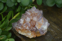 Natural Lovely Mixed Selection Of Spirit Quartz Clusters  x 6 From Boekenhouthoek, South Africa - Toprock Gemstones and Minerals 