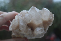 Natural Cascading White Phantom Smokey Quartz Clusters  x 3 From Luena, Congo - Toprock Gemstones and Minerals 