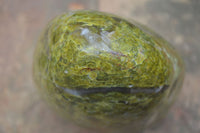 Natural Large Green Opal Standing Free Form  x 1 From Madagascar - Toprock Gemstones and Minerals 