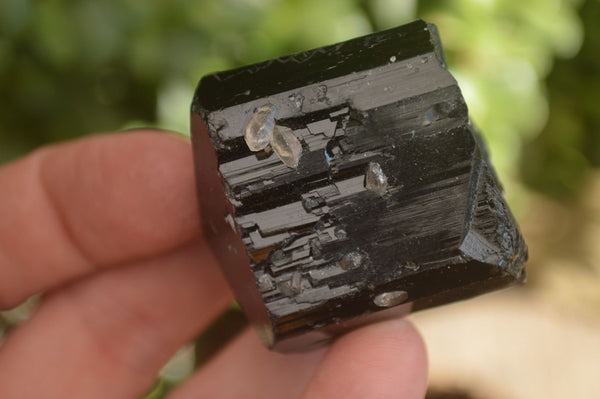 Natural Schorl Black Tourmaline Specimens x 12 From Erongo, Namibia