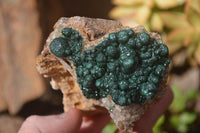 Natural Rare Ball Malachite On Drusy Quartz & Dolomite Specimens x 2 From Congo