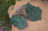 Natural Crystalline Malachite Specimens  x 2 From Congo