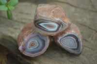 Polished Stunning Banded River Agate Nodules  x 12 From Sashe River, Zimbabwe - Toprock Gemstones and Minerals 