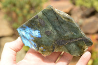 Polished One Side Polished Labradorite Slices  x 8 From Tulear, Madagascar - TopRock