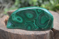 Polished Malachite Free Forms With Stunning Flower & Banding Patterns x 6 From Congo - Toprock Gemstones and Minerals 