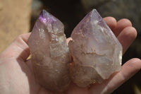 Natural Large Amethyst Window Quartz Crystals  x 6 From Ambatondrazaka, Madagascar - Toprock Gemstones and Minerals 