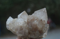 Natural Cascading White Phantom Smokey Quartz Clusters  x 3 From Luena, Congo - Toprock Gemstones and Minerals 