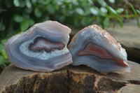 Polished Stunning Banded River Agate Nodules  x 12 From Sashe River, Zimbabwe - Toprock Gemstones and Minerals 