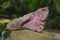 Natural Pink Salrose Cobaltion Dolomite Specimens  x 4 From Kakanda, Congo