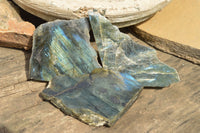 Polished One Side Polished Labradorite Slices  x 8 From Tulear, Madagascar - TopRock