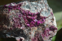 Natural Pink Salrose Cobaltion Dolomite Specimens  x 6 From Kakanda, Congo - Toprock Gemstones and Minerals 