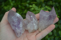 Natural Small Jacaranda Amethyst Specimens  x 12 From Mumbwa, Zambia - Toprock Gemstones and Minerals 