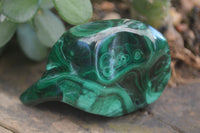 Polished Malachite Free Forms With Stunning Flower & Banding Patterns x 6 From Congo - Toprock Gemstones and Minerals 