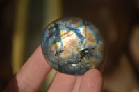 Polished Labradorite Galets (Palm Stones)  - Sold per 1 kg - From Tulear, Madagascar