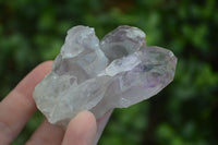 Natural Small Jacaranda Amethyst Specimens  x 12 From Mumbwa, Zambia - Toprock Gemstones and Minerals 