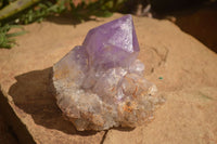 Natural Jacaranda Amethyst Clusters x 2 From Zambia