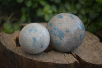 Polished Blue Spotted Spinel Quartz Spheres  x 6 From Madagascar - Toprock Gemstones and Minerals 