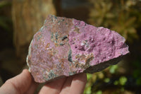 Natural Pink Salrose Cobaltion Dolomite Specimens  x 4 From Kakanda, Congo