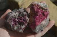 Natural Pink Salrose Cobaltion Dolomite Specimens  x 6 From Kakanda, Congo - Toprock Gemstones and Minerals 