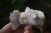 Natural Mixed Spirit Amethyst Quartz Clusters  x 12 From Boekenhouthoek, South Africa - Toprock Gemstones and Minerals 