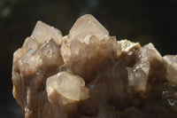 Natural Large Cascading White Phantom Smokey Quartz Cluster x 1 From Luena, Congo