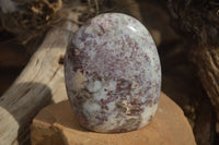 Polished Rubellite Pink Tourmaline Matrix Standing Free Forms x 2 From Namibia