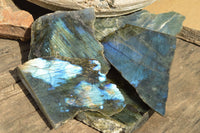 Polished One Side Polished Labradorite Slices  x 8 From Tulear, Madagascar - TopRock