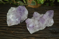 Natural Jacaranda Amethyst Clusters x 2 From Zambia