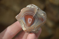 Polished Red Sashe River Agate Nodules x 12 From Sashe River, Zimbabwe