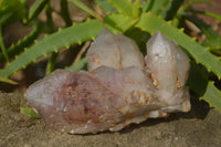 Natural Red Hematoid Quartz Clusters x 3 From Karoi, Zimbabwe