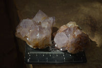 Natural Mixed Spirit Amethyst Quartz Clusters  x 12 From Boekenhouthoek, South Africa - Toprock Gemstones and Minerals 