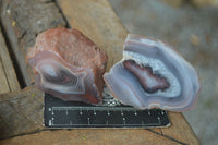 Polished Stunning Banded River Agate Nodules  x 12 From Sashe River, Zimbabwe - Toprock Gemstones and Minerals 