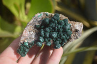 Natural Rare Ball Malachite On Drusy Quartz & Dolomite Specimens x 2 From Congo