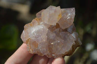 Natural Mixed Spirit Amethyst Quartz Clusters  x 12 From Boekenhouthoek, South Africa - Toprock Gemstones and Minerals 